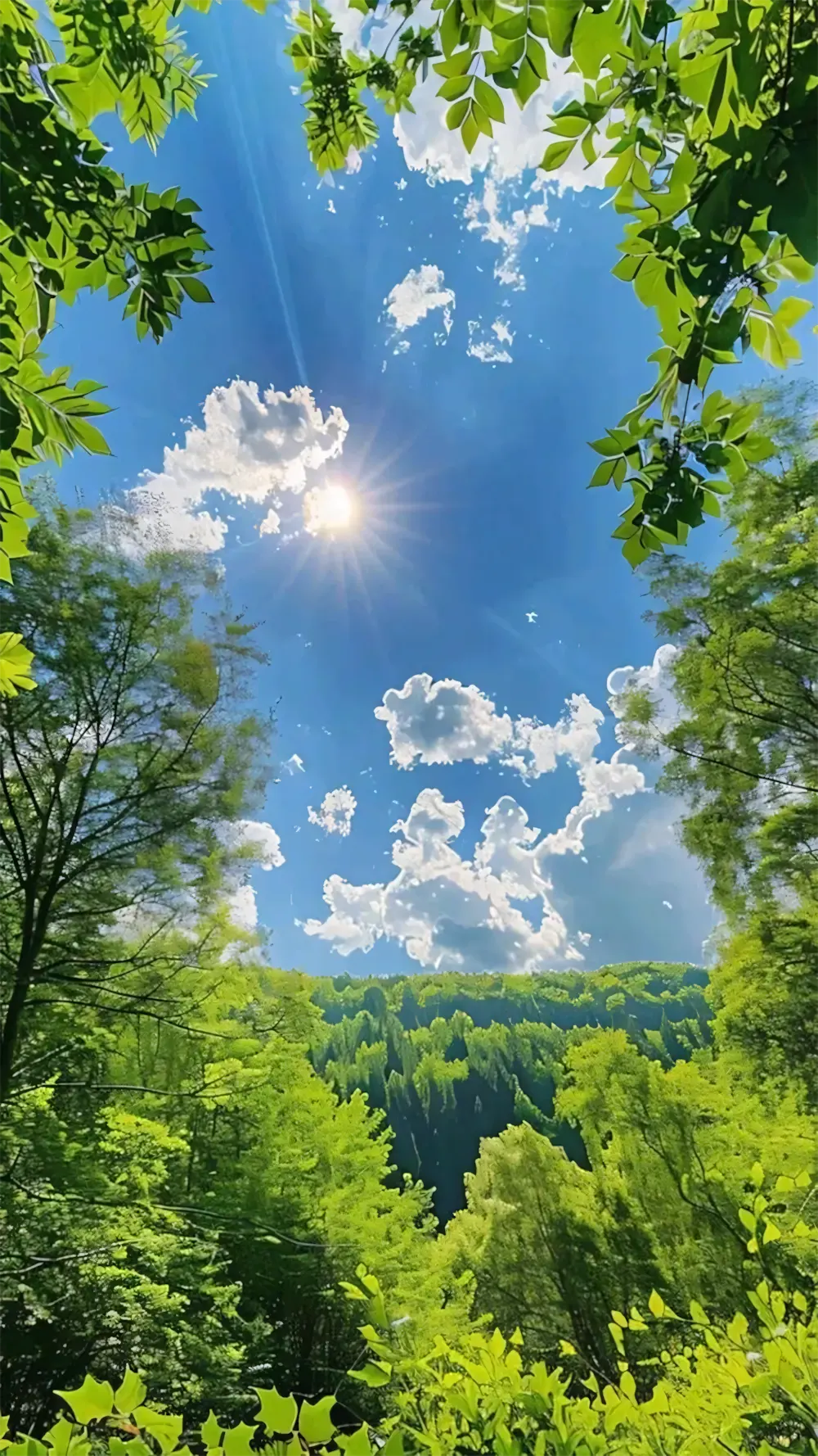 anh binh minh tren bien vinh 5