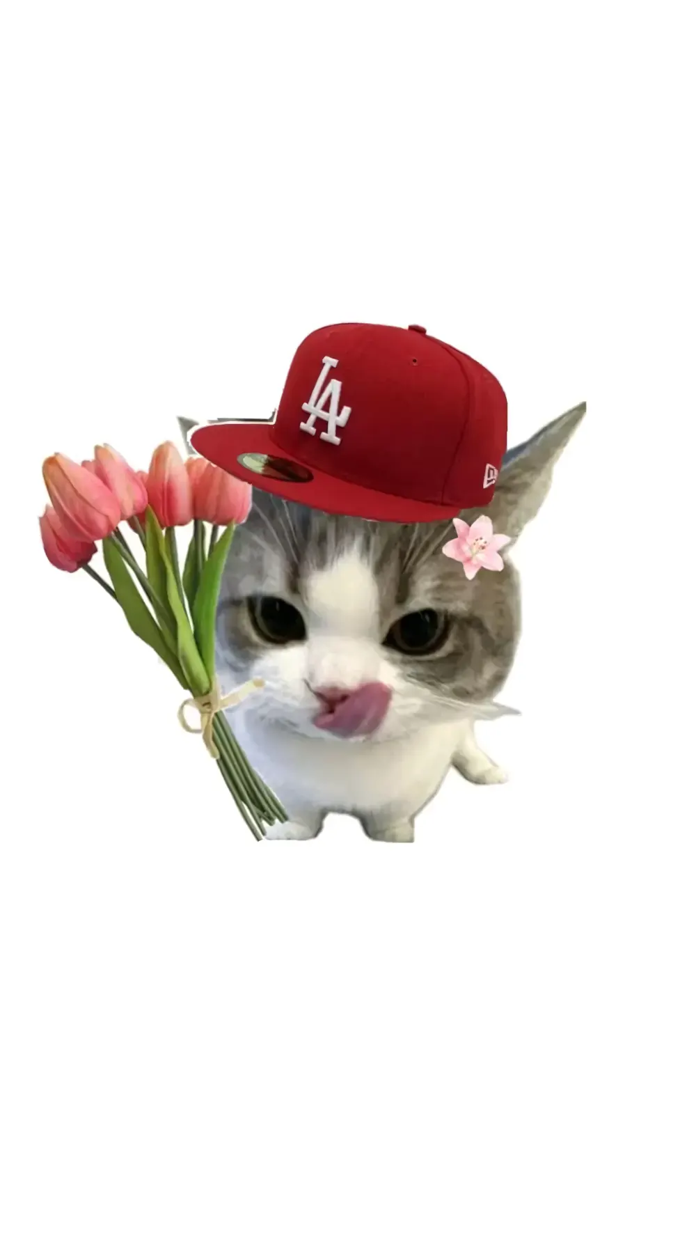 anh khoc meme de thuong 20