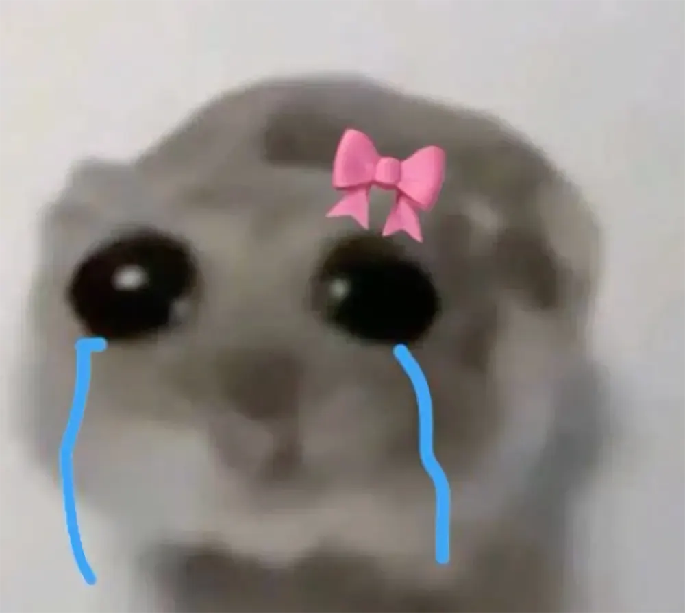 anh khoc meme de thuong 4