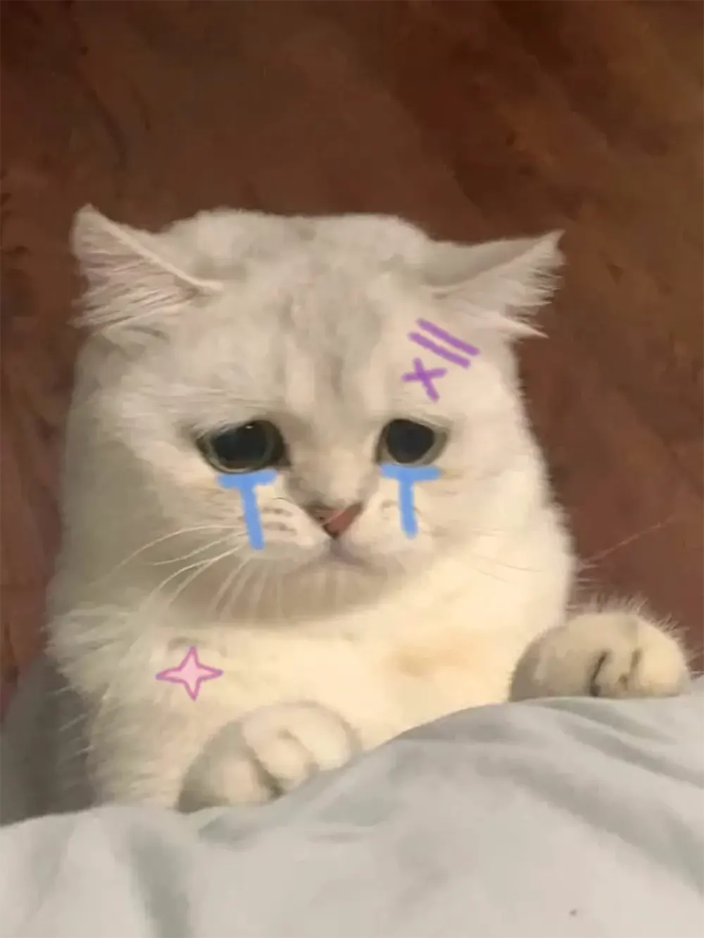 anh khoc meme de thuong 8