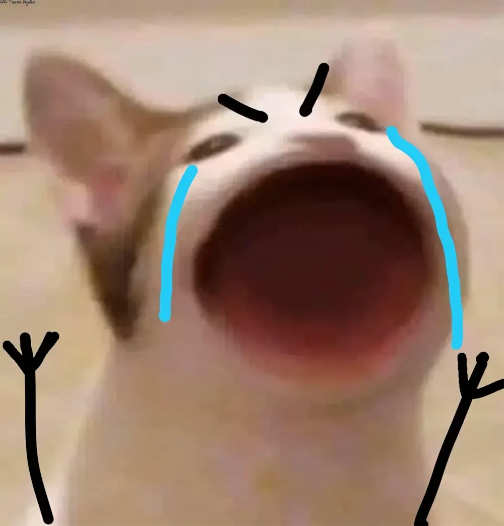 anh meme khoc hai gao thet 11