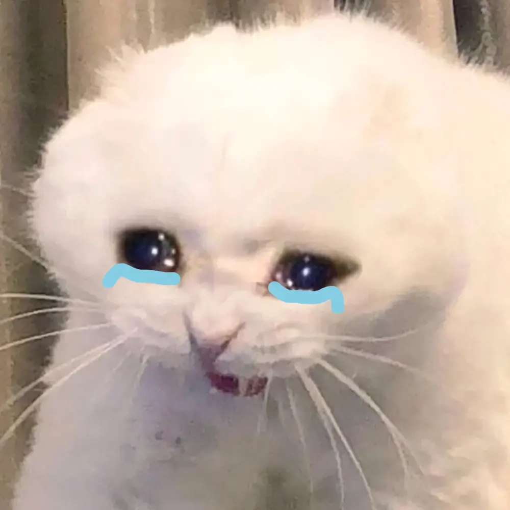 anh meme khoc hai gao thet 19