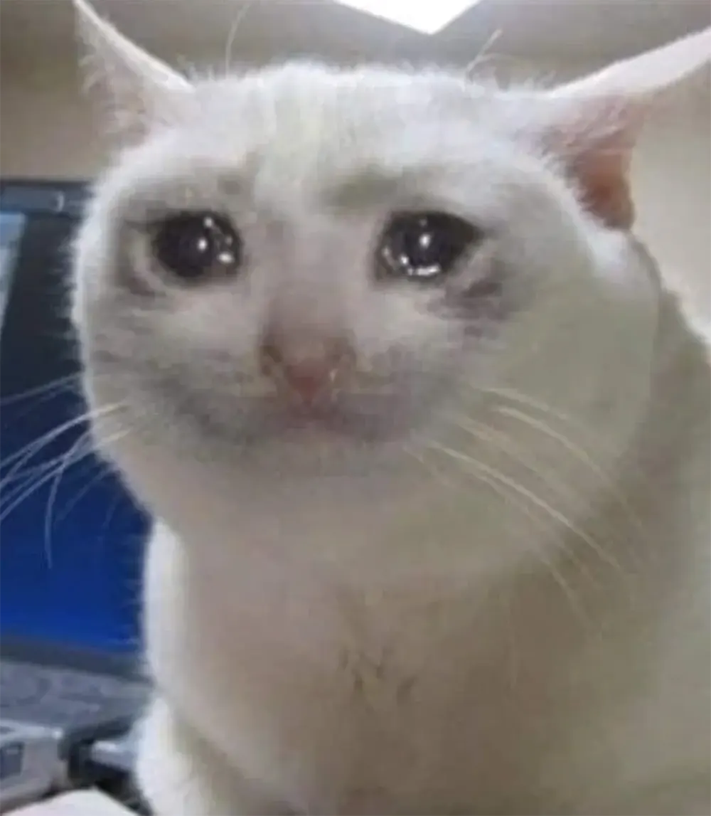anh meme khoc hai gao thet 2