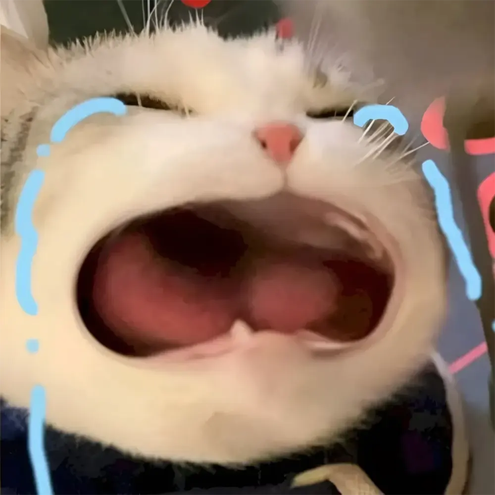 anh meme khoc hai gao thet 22