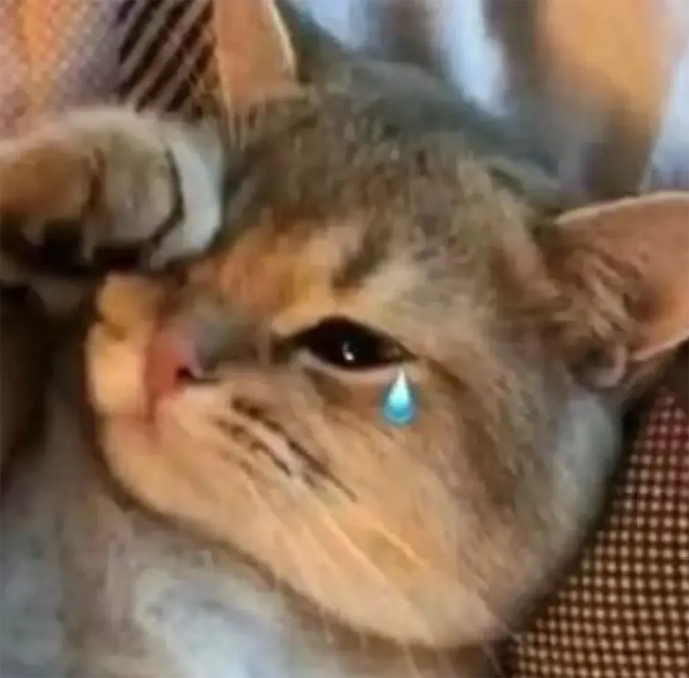 anh meme khoc hai gao thet 25