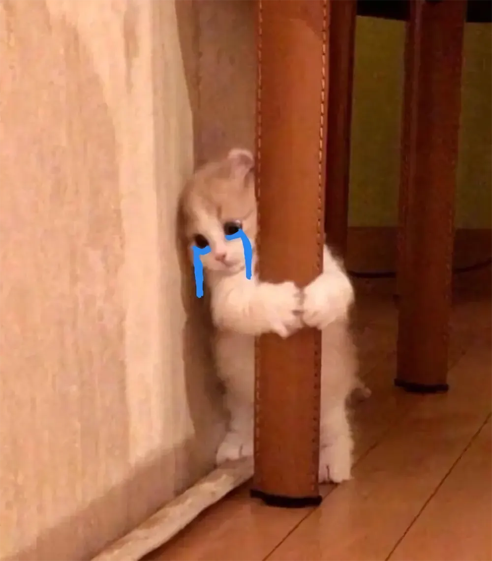 anh meme khoc hai gao thet 3