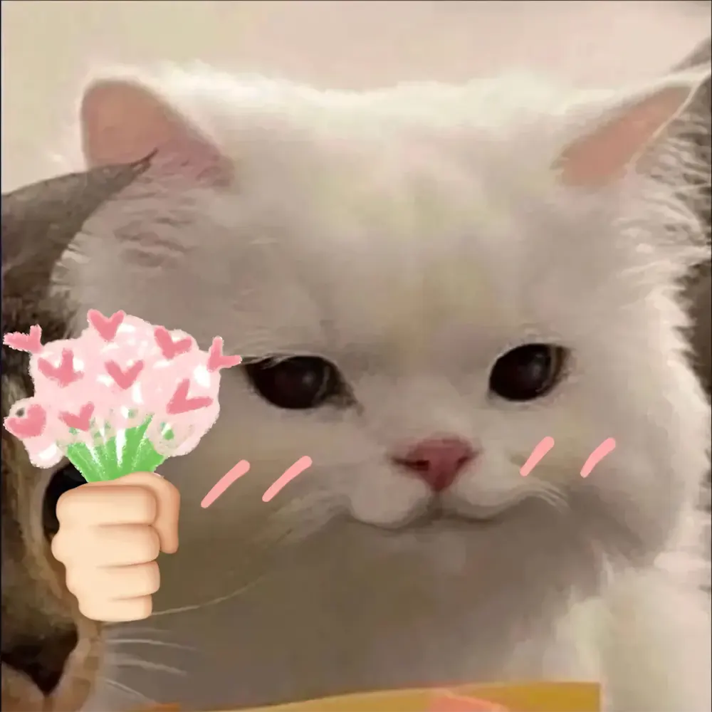 anh meo che 9