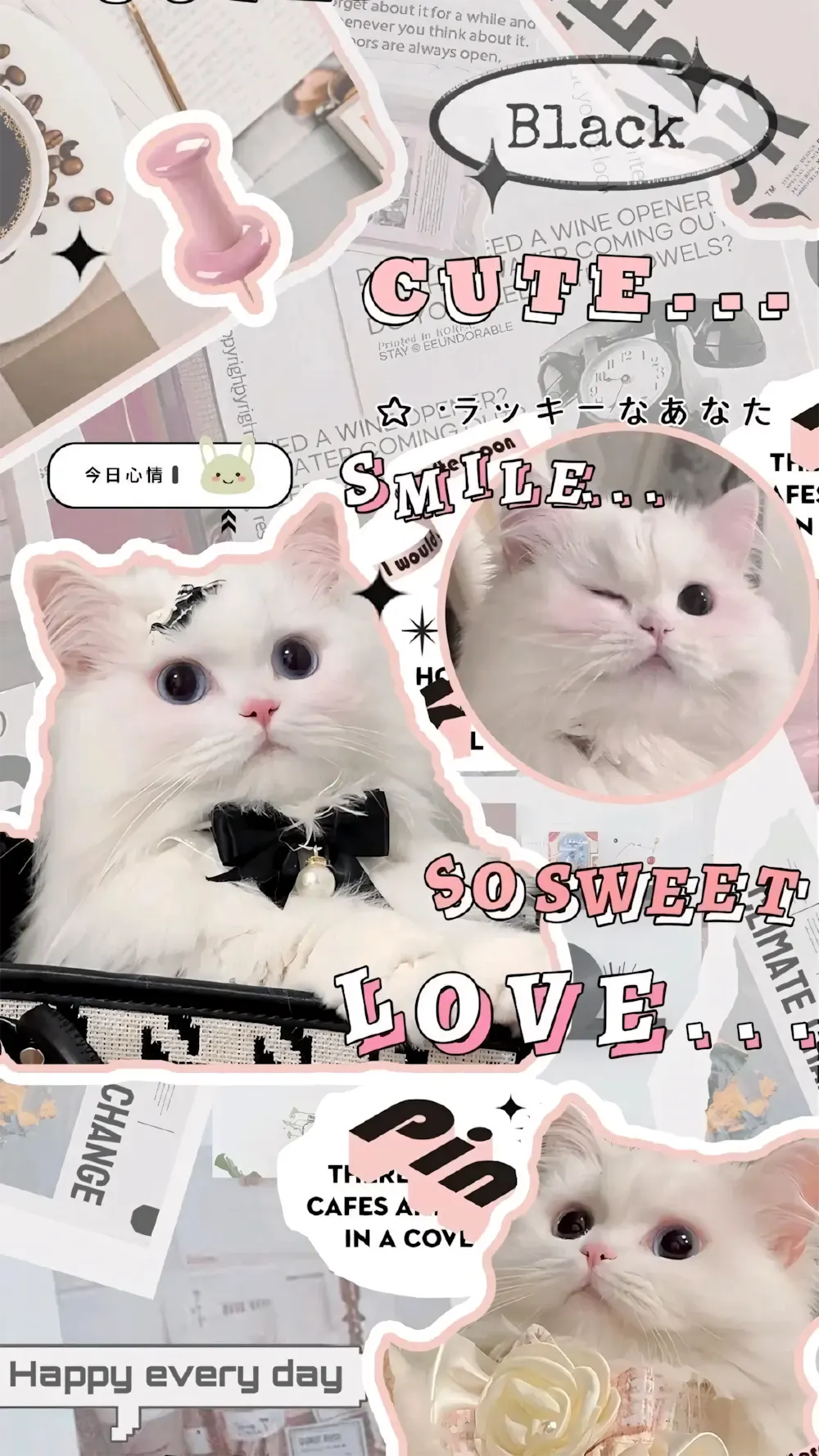anh meo cute hoat hinh 3