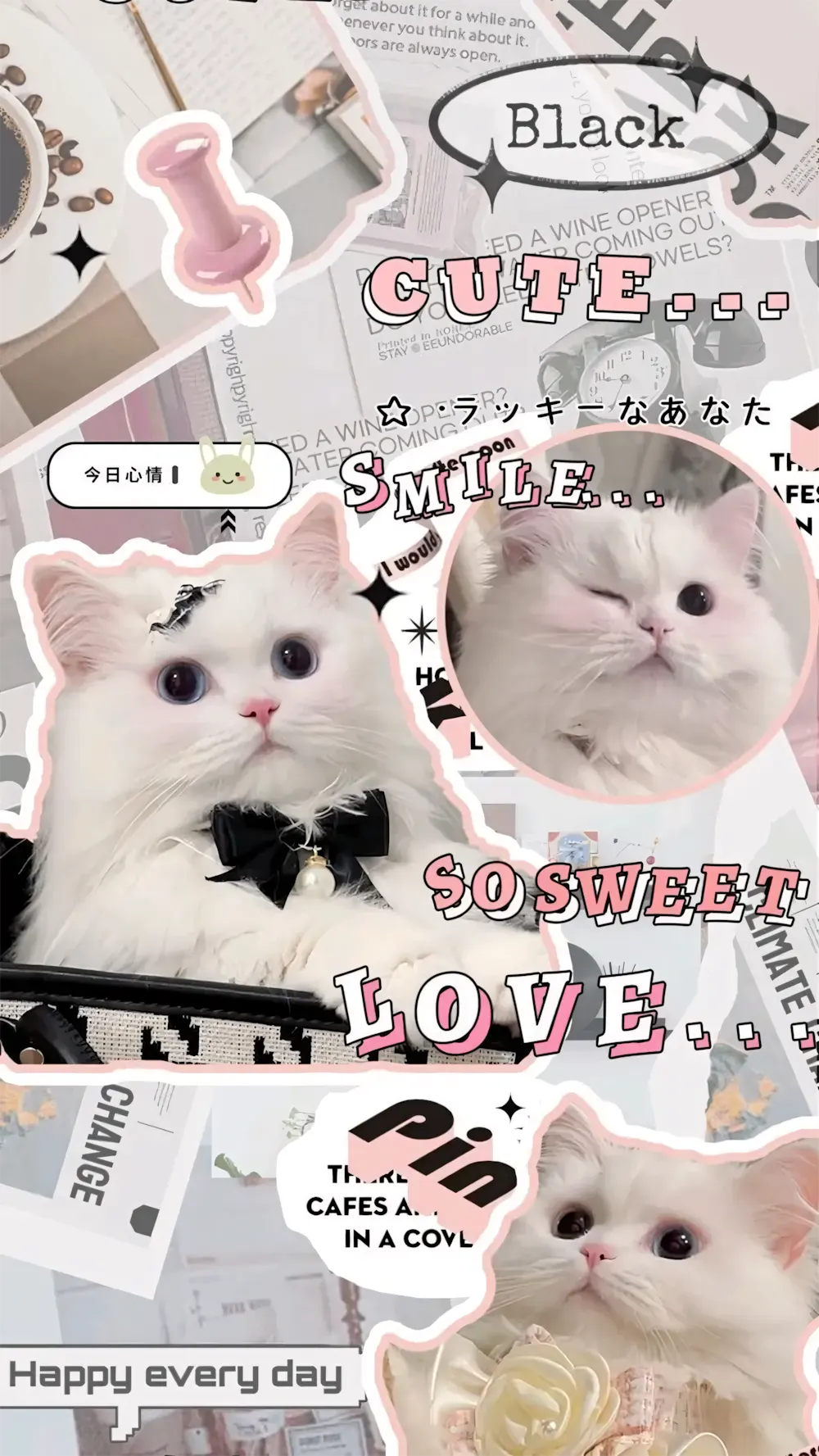 avatar anh meo cute 3