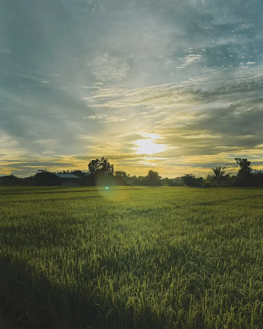 hinh anh binh minh sang som 4
