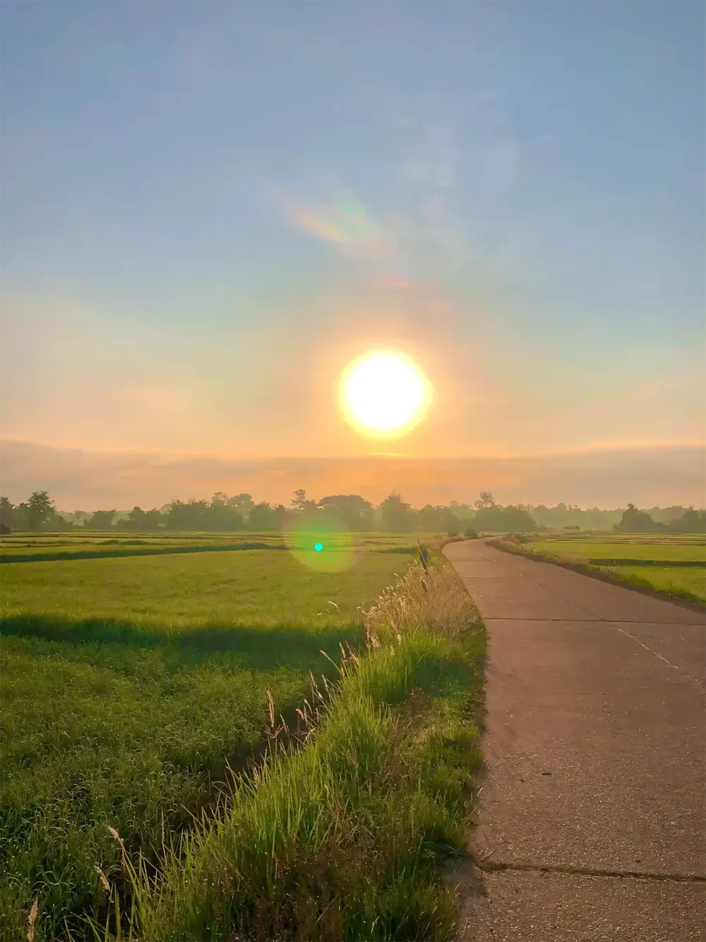 hinh anh binh minh thanh pho 14