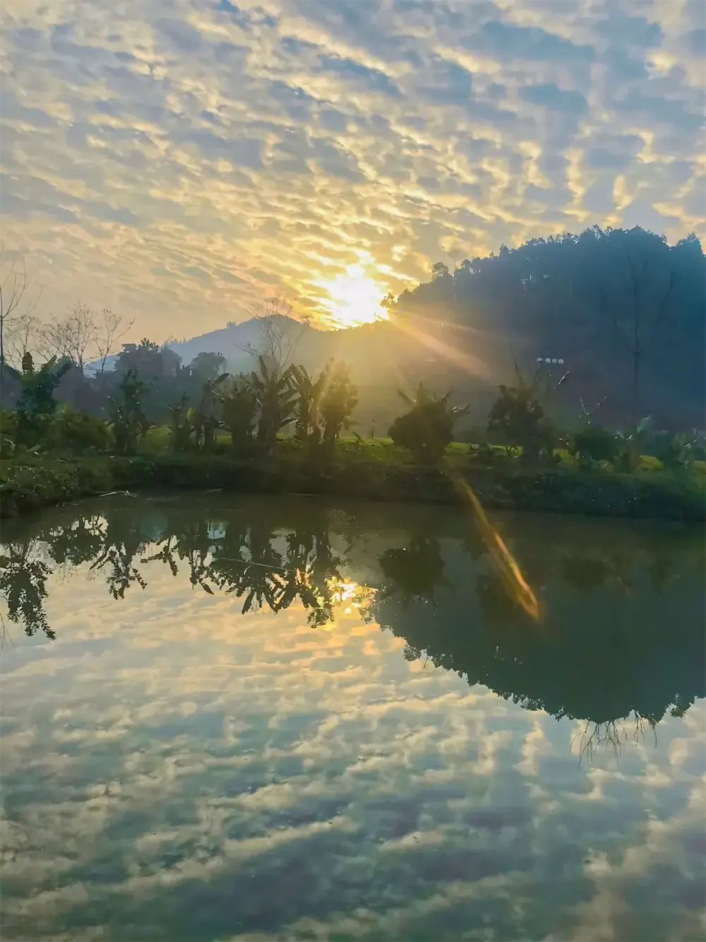hinh anh binh minh thanh pho 20