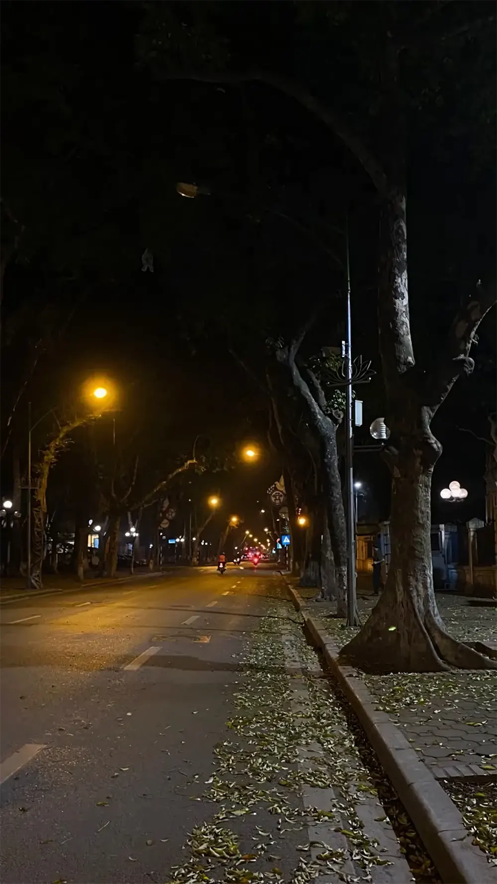 hinh anh chill duong pho 18