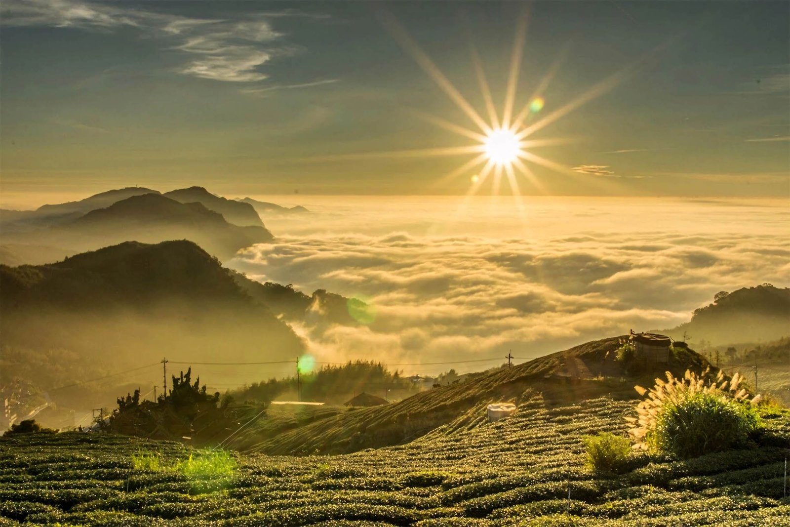 hinh nen hoang hon 4k 9