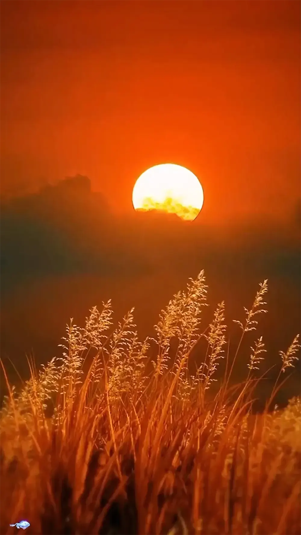 hinh nen hoang hon lang man thon que 8