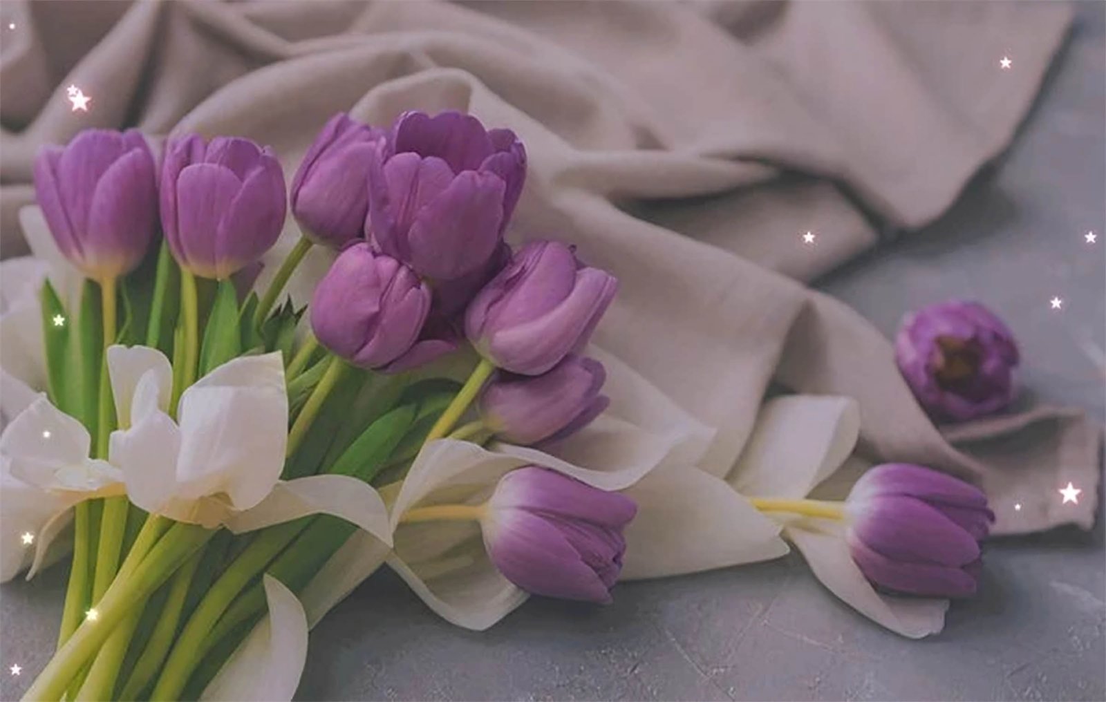 hinh nen may tinh hoa lavender 6